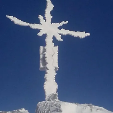 Silvia Oberweissburg