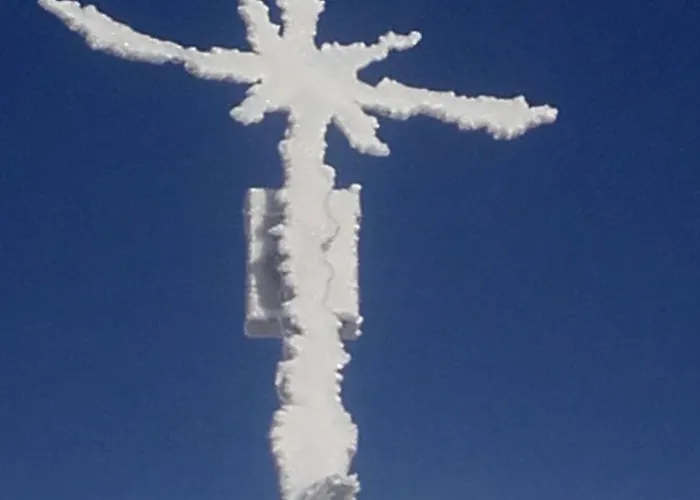 Silvia Oberweissburg